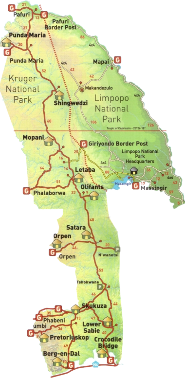 Travel Packages to the Kruger National Park